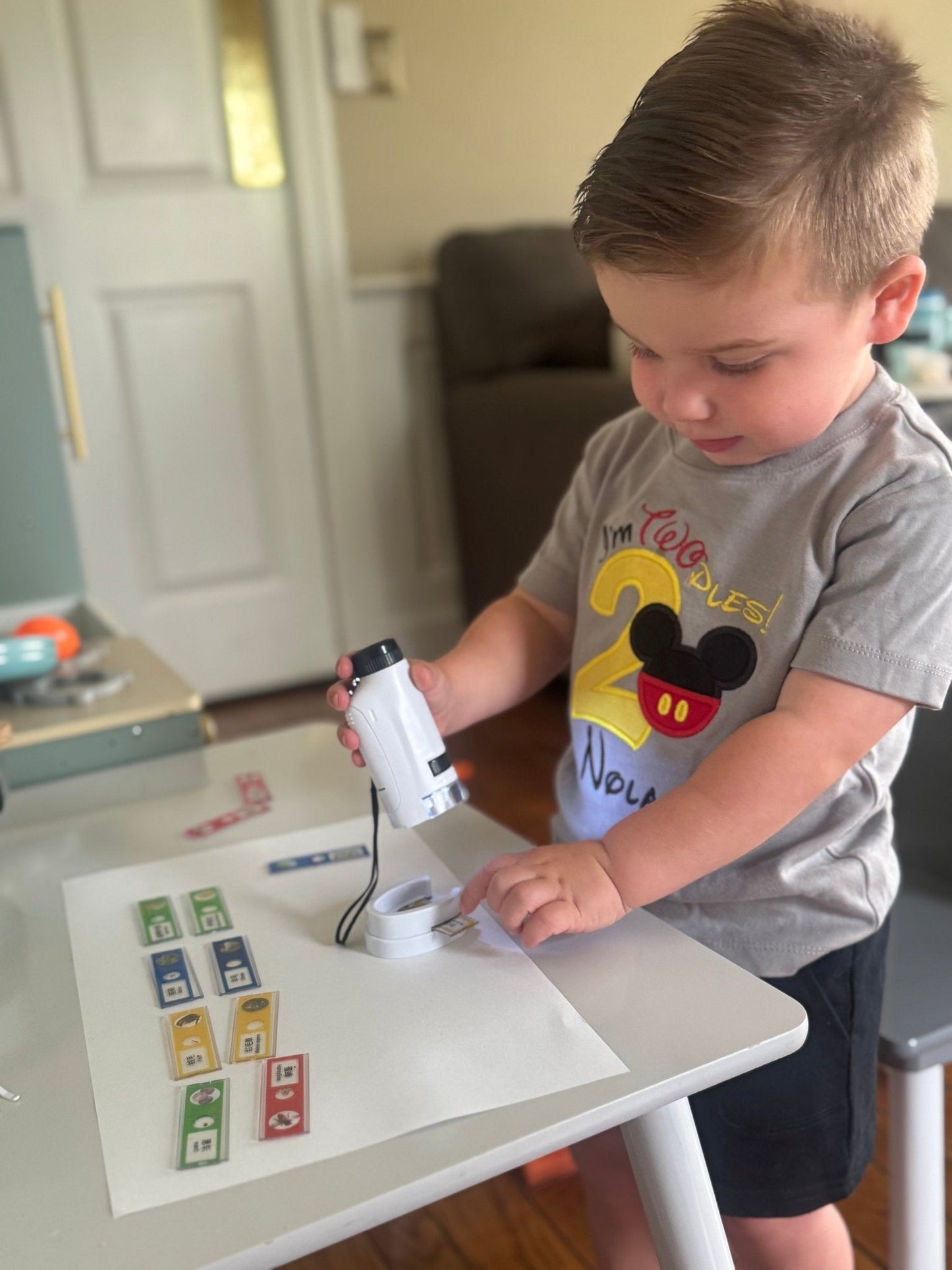 Montessori Pocket Explorer